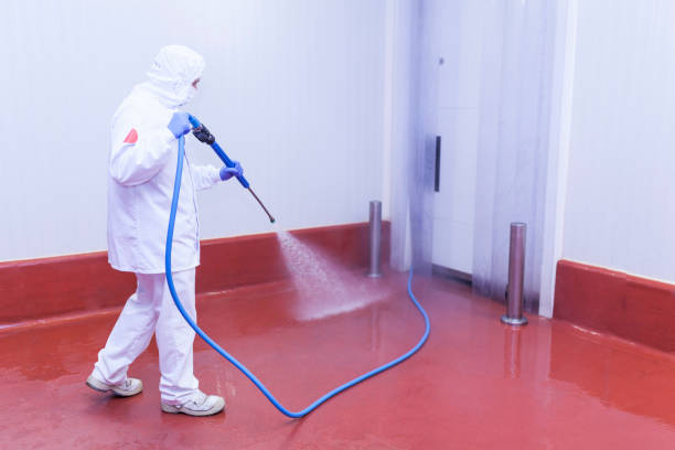Best Solar Panel Cleaning  in Griffith, IN